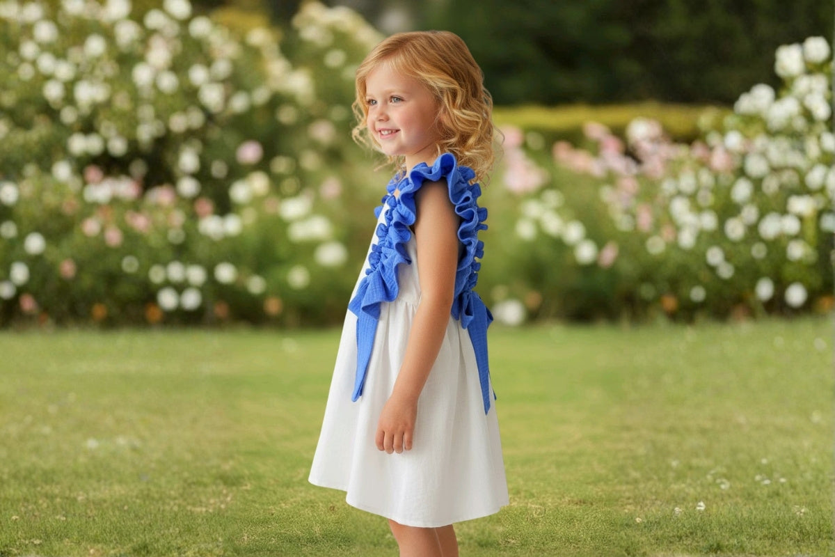 Blue Ruffle Bow Dress